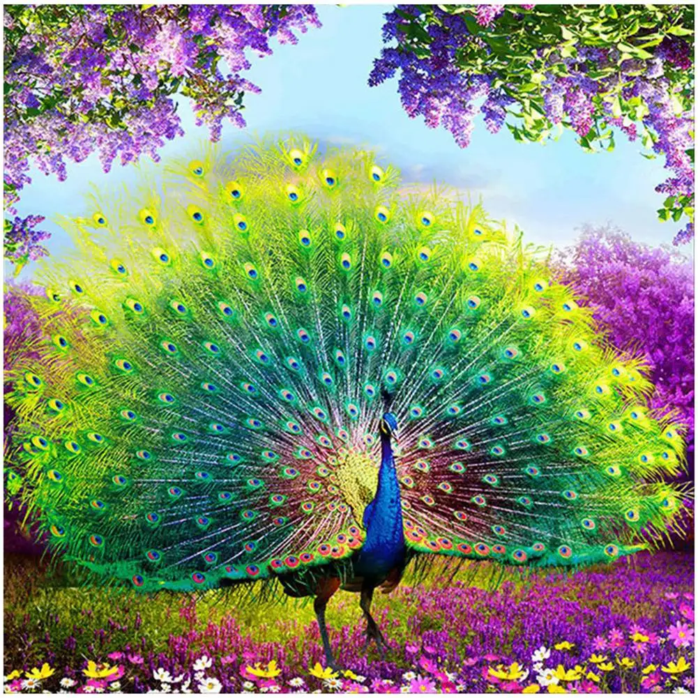 J1UL1N DIY Diamond Painting Diamond Embroidery Round Resin Diamond Cross Stitch Home Wall Decor 30X30cm,Peacock