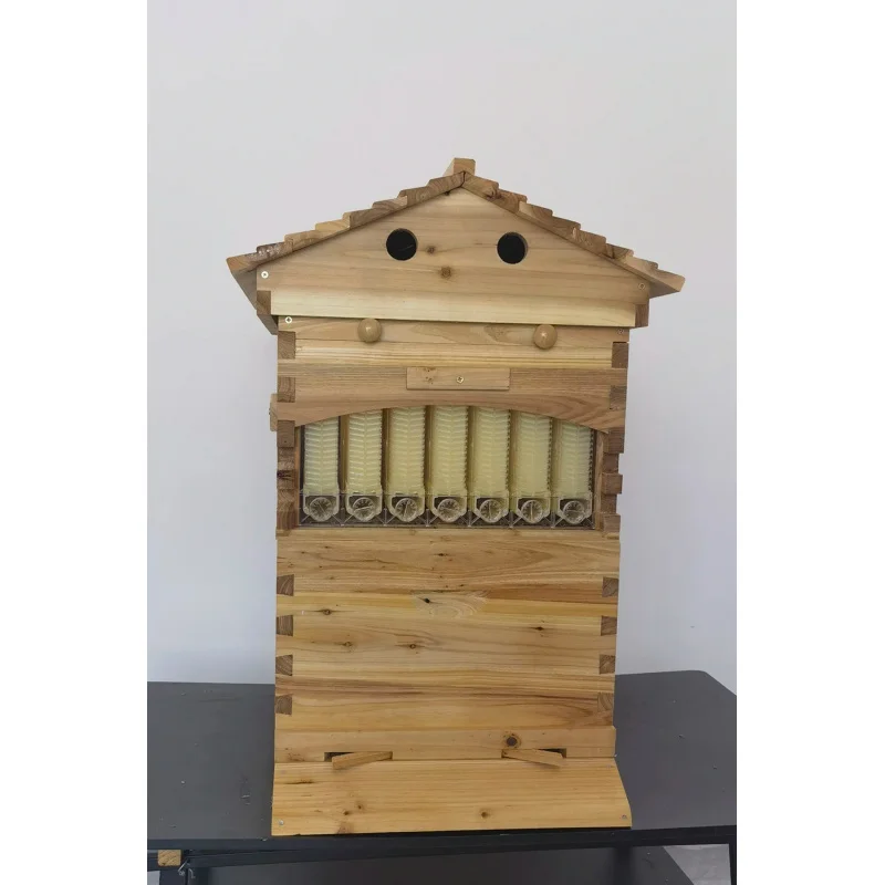 Beginner-Friendly And Easy-To-Operate Automatic Honey Flow Beehive For Beginners In Beekeeping