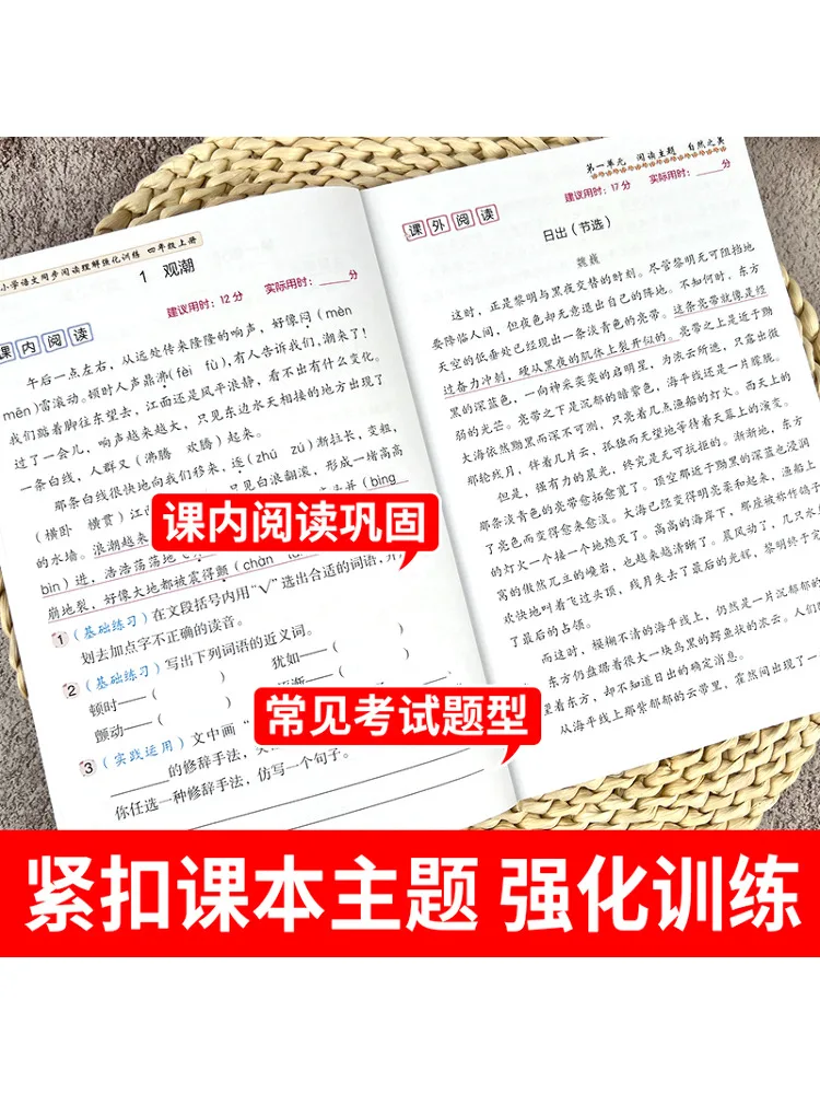 Book-Winshare Elementary School Chinese Synchronized Reading Comprehension Intensive Training Fourth Grade First Semester Rj