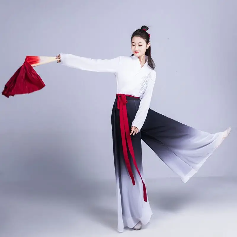 Dancing Dress Performance Dress Classical Dance Costume Girls Dance Practice Dress Elegant Modern Dance Dress Ancient Hanfu Suit