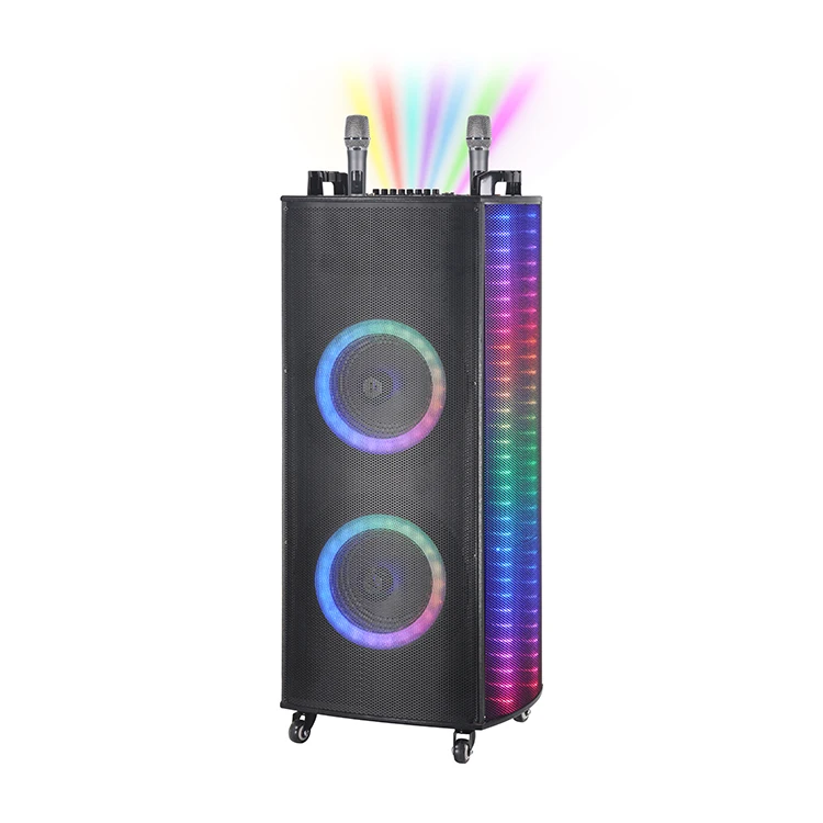 Popular Party Stage Speakers Hot Sell Big Power 100w Karaoke Double Speaker