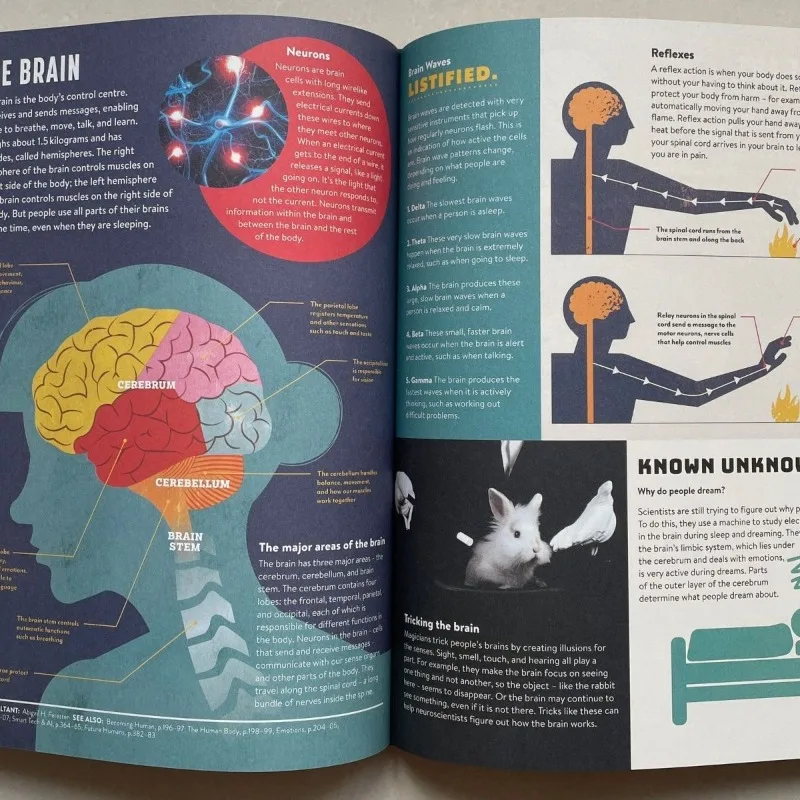 Encyclopédie Britannica nouvelle encyclopédie pour enfants édition anglaise livres scientifiques illustrés