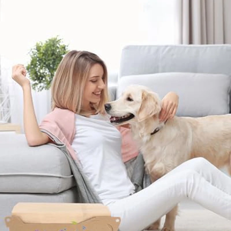 أكياس فلتر ورقي من كارشر ، مكنسة كهربائية ، 24