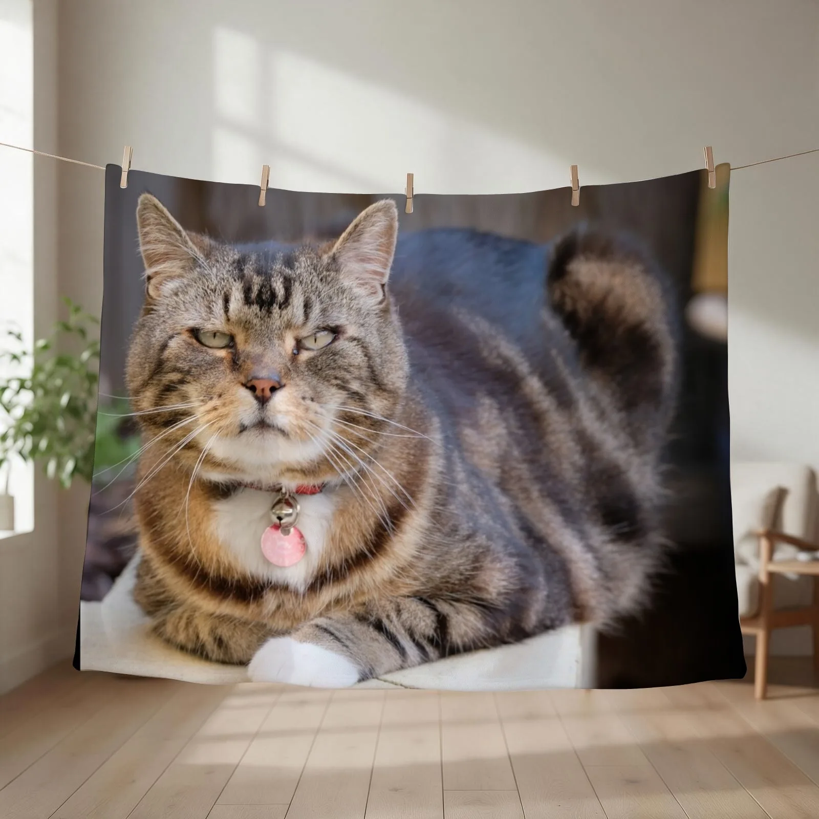 Grumpy Tabby Throw Blanket bed plaid Luxury Brand christmas decoration For Baby Blankets