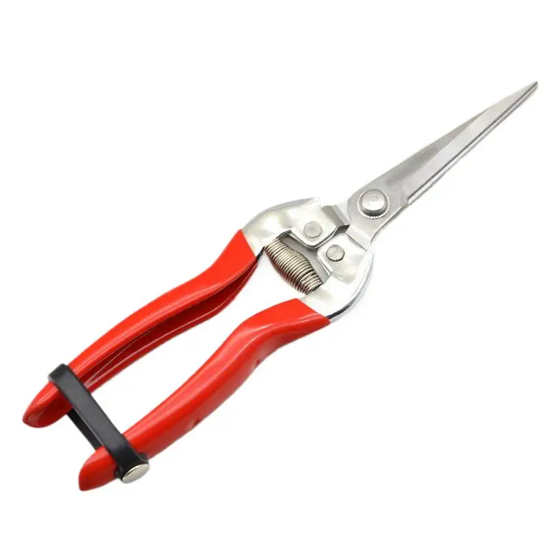 

Pruning Shears For Gardening Stainless Steel Gardening Pruners Scissors Plant Trimming Pruners For Fruit Trees Grapes Vines