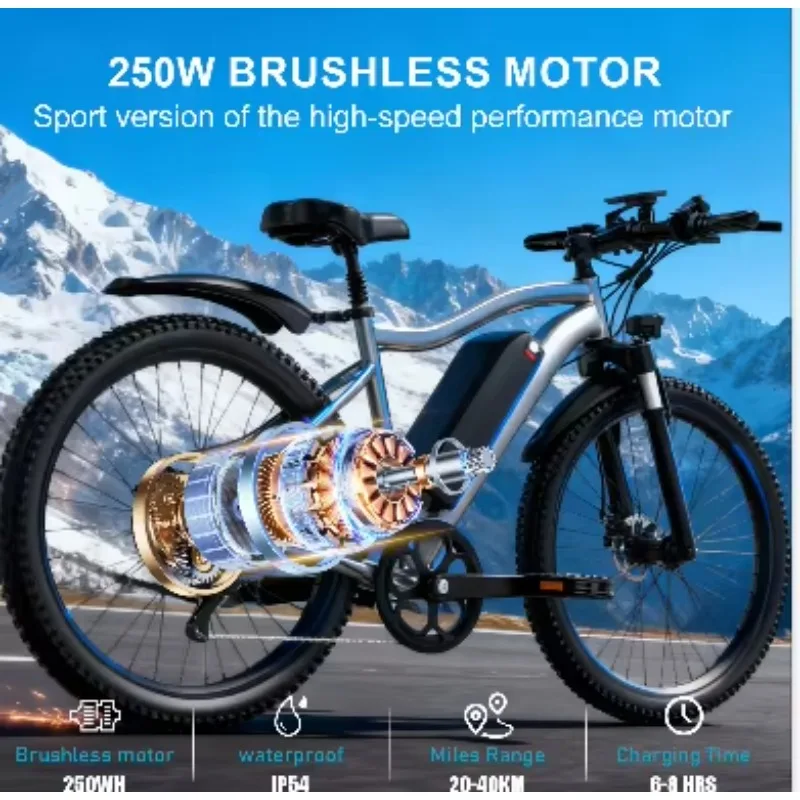 WWQ Adult electric bicycle with disc brake 48V13A lithium battery electric bicycle China city multi-function electric bicycle