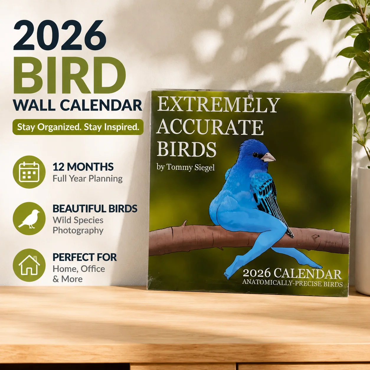 2026 Bird Wall Calendar, 12 Month Wild Bird Species Photography Planner, Home Office Wall Decor Organizer