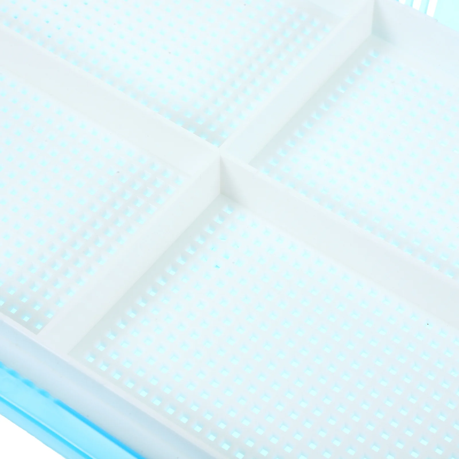 

2Pcs Cat Grass Planter Hydroponic Seedling Box Soilless Indoor Catnip Plant Nursery Creative Household Growing Tray