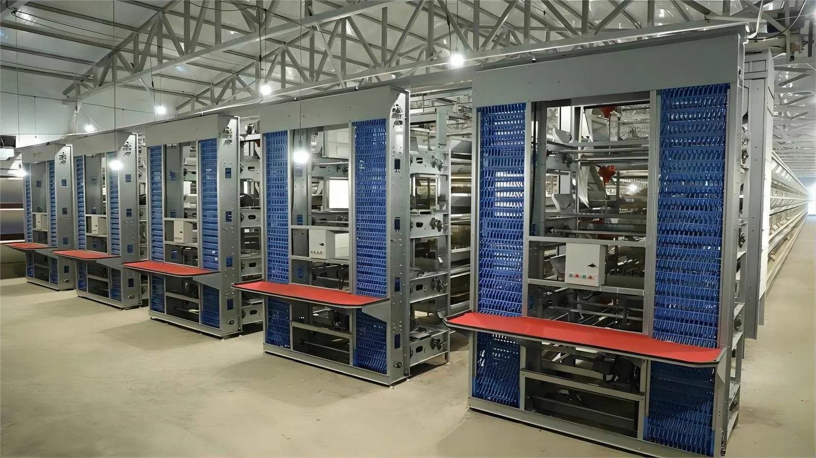 H Type Closed Poultry Farming House Complete Automatic System Battery Chicken Cage For Egg Layers