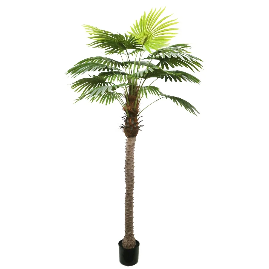 

Landscape Decor 210cm High Faux Fan Palm Tree With Pot