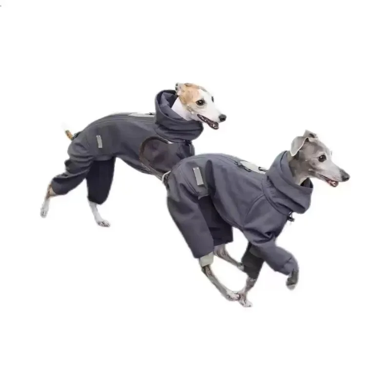 Medium Sized Dog High Collar Cotton Coat, Pet Dog Autumn and Winter Clothes, Warm and Windproof