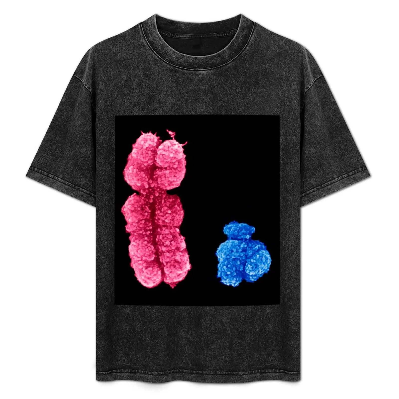 X and Y chromosomes (C003/0729) T-Shirt Man t-shirt oversized graphic tee Louboutins t shirt for men