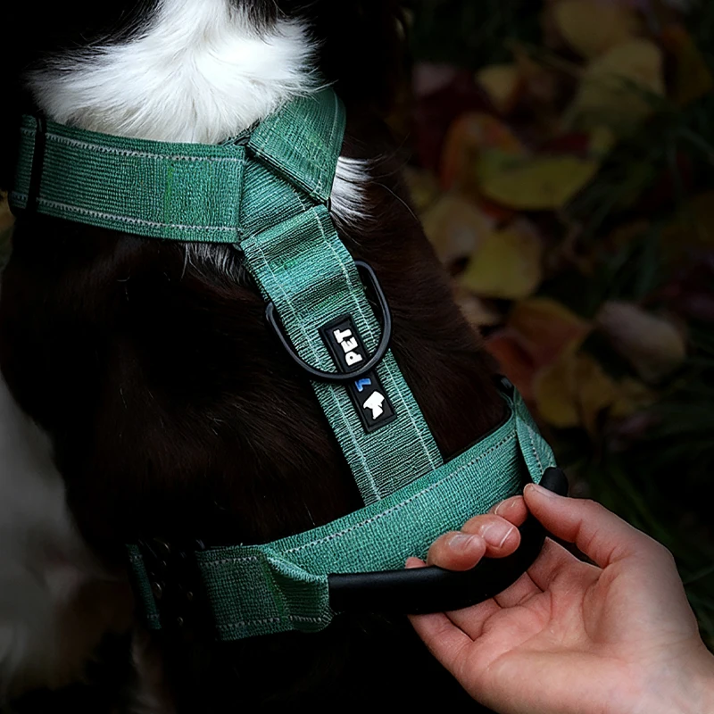 Thumbnail 3 - #13 New Dog Car Safety Harnesses Arrivals