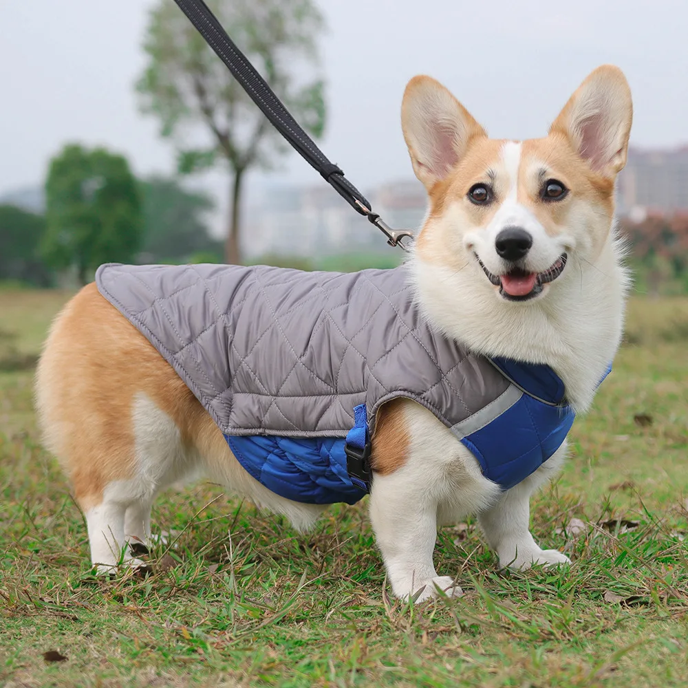 New winter reflective pet dog clothes thickening method to fight puppy cotton-padded coat wholesale