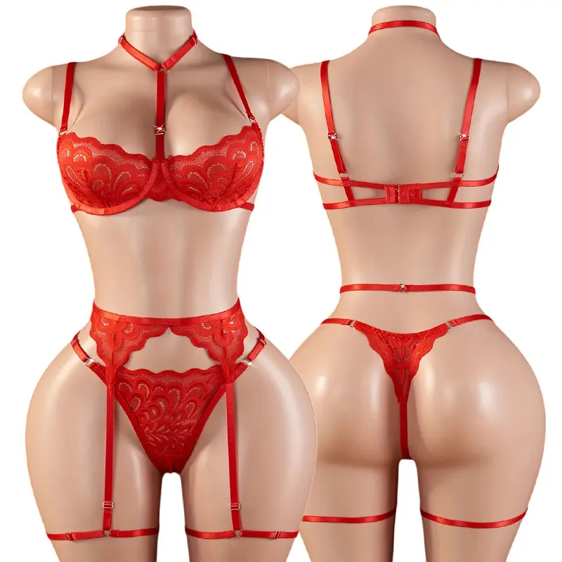 Delicate Lace Bra Set Erotic Lingerie Sexy Women's Underwear Ultra-thin Bras Thong With Garter Belts And Leg Bands—4-Piece Sets