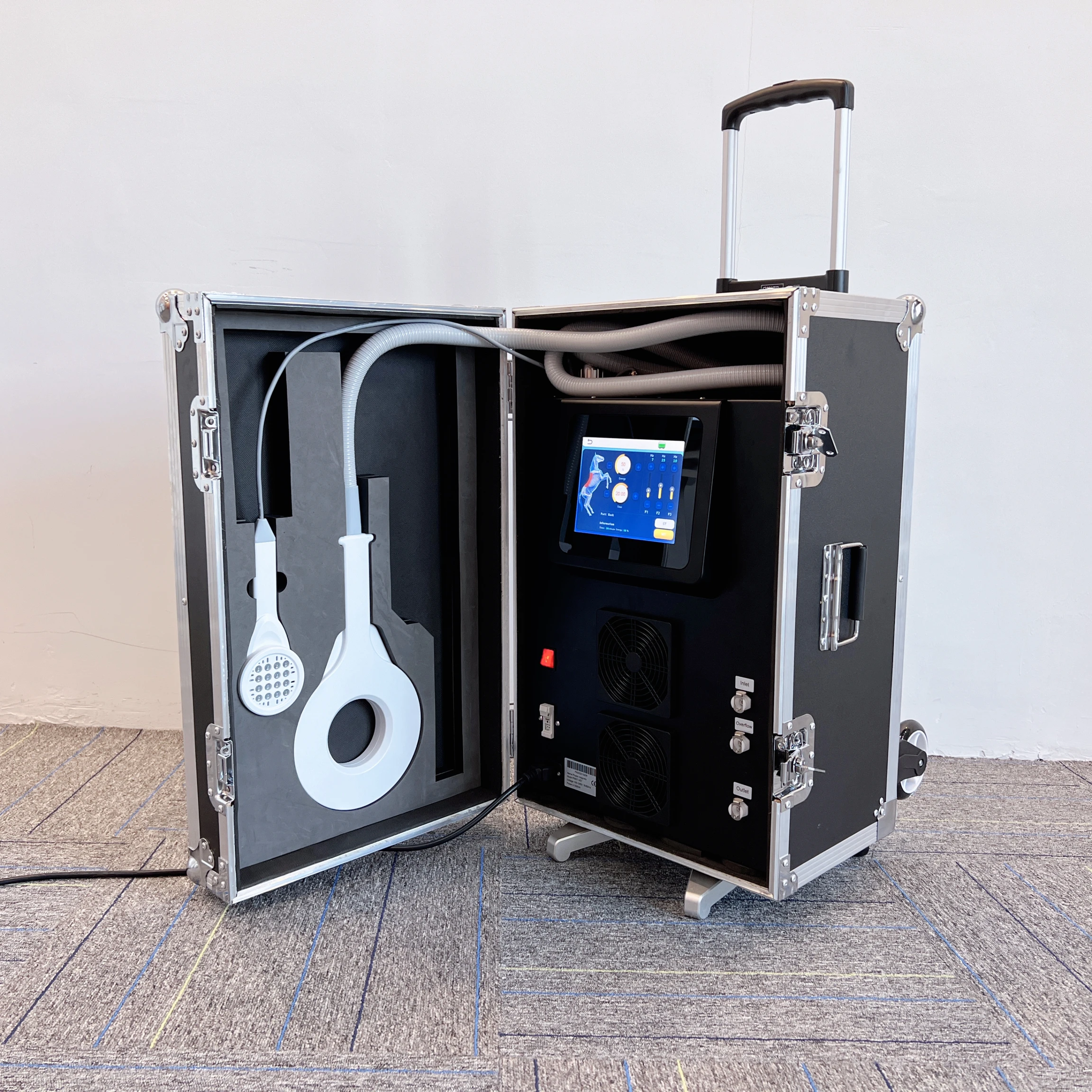 professional EMTT PEMF Magnetic Therapy Water-cooled High Strength Recovery Machine Commercial Use Horse Sport Injuries Body