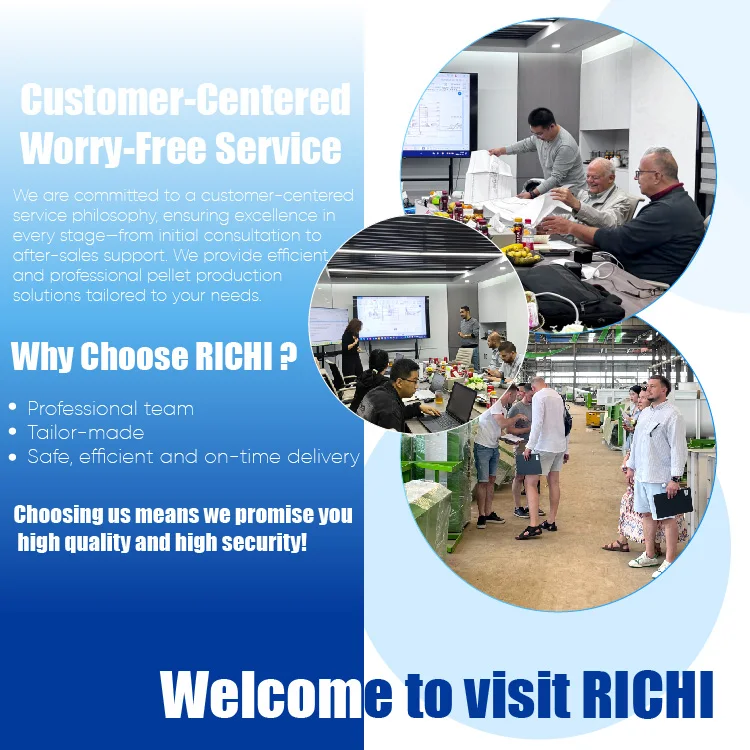 Machines de moulin d'aliments pour petits animaux de poulet de grande capacité RICHI