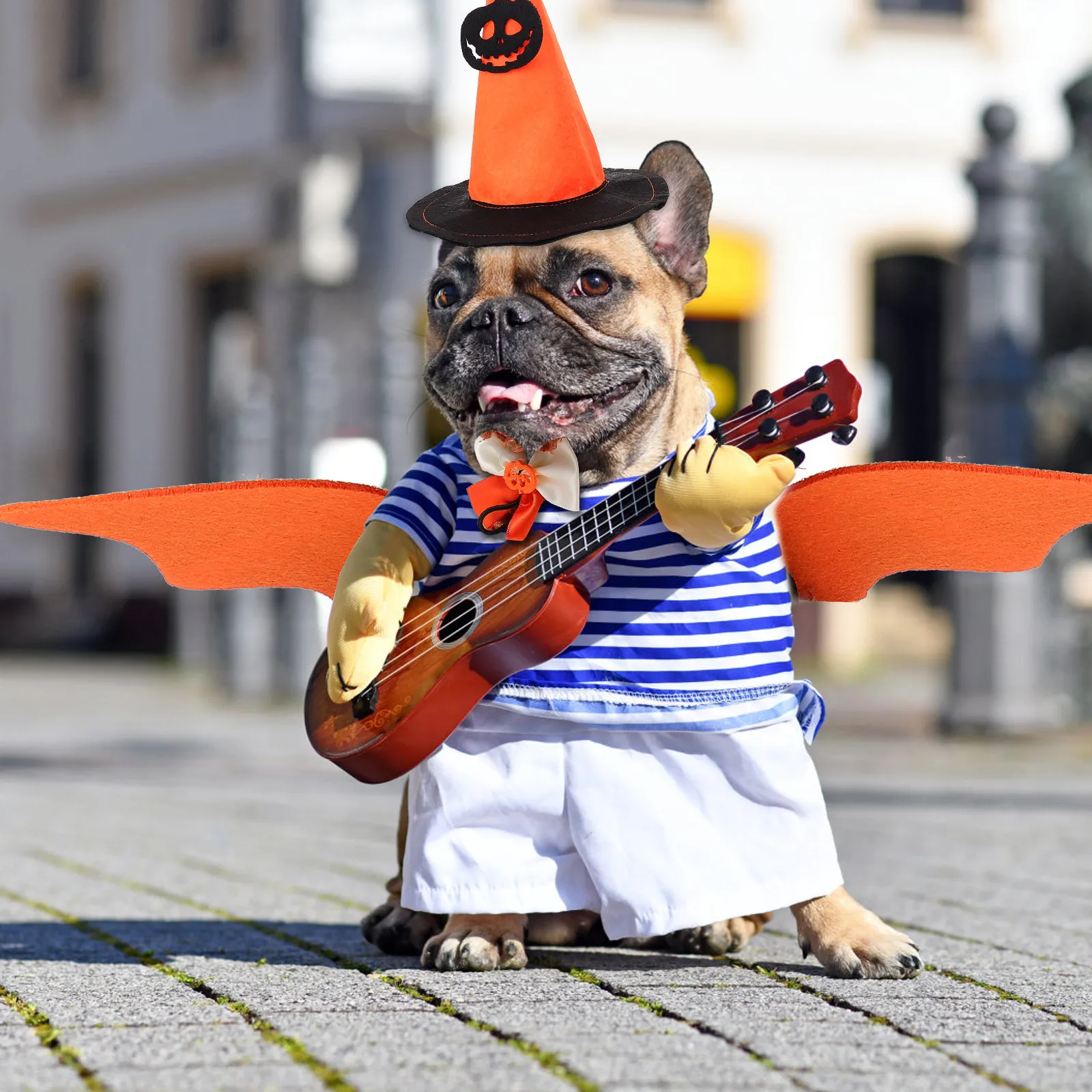 Halloween Dog Cat Costume Set with Bat Wings & Pumpkin Hat – Cute Warm Adjustable Nonwoven Pet Outfit for Parties