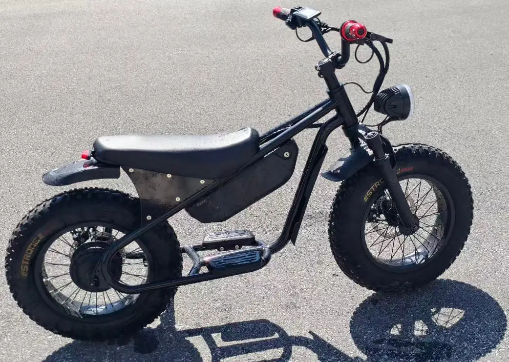Small Beach Electric Motorcycle 500W Motor 48V 13AH Lithium Battery Electric Bike 45km/h off Road Riding Entertainment E-Bicycle