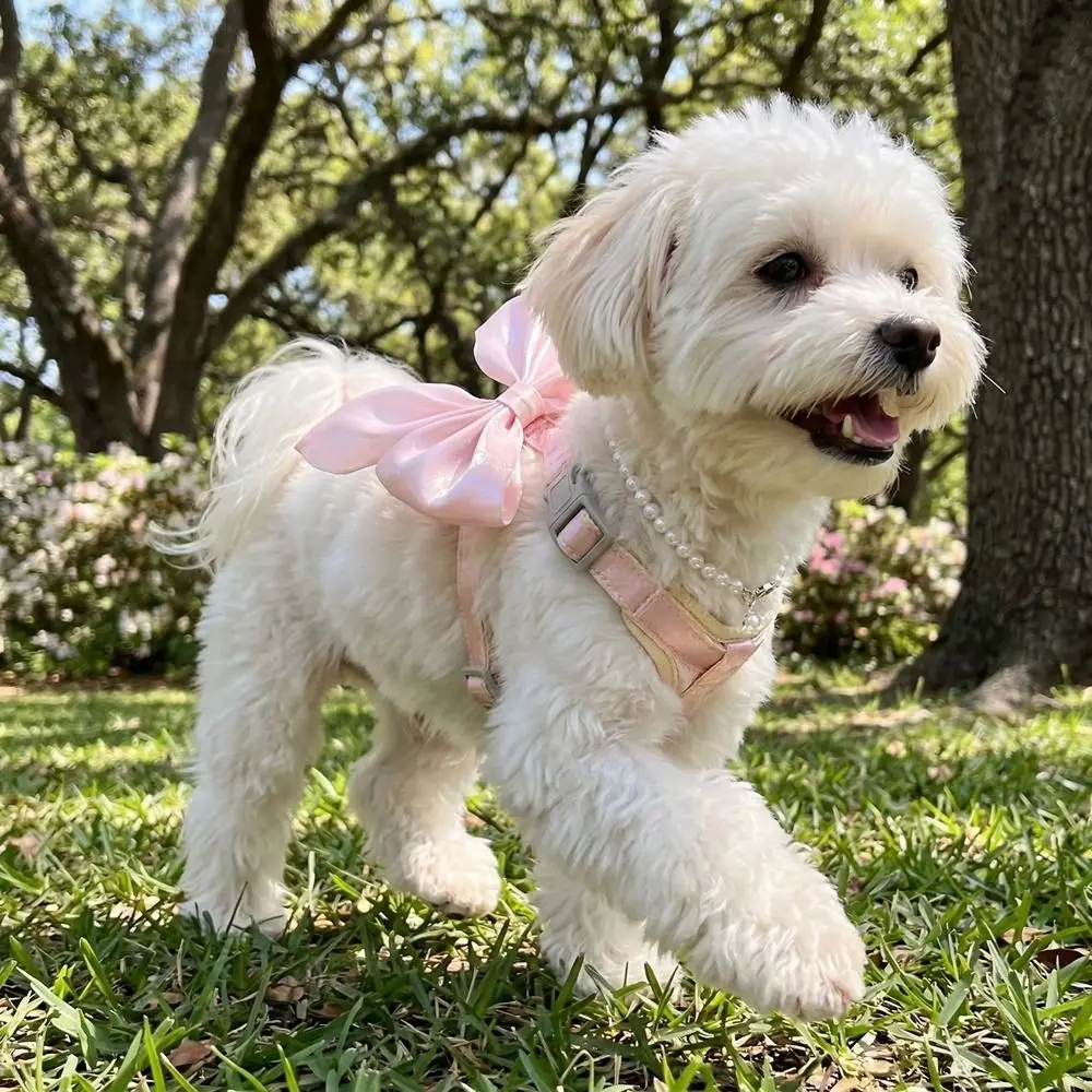

Princess Style Adjustable Pet Harness Escape-Proof Cute Bow Cat Leash Breathable Comfort Pet Walking Rope Training