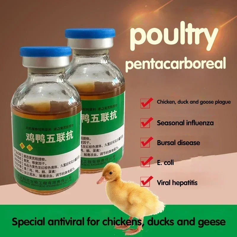 Aves de corral, pollo, pato, ganso, plaga, cinco combinaciones, anti-cuatro estaciones, influencia, enfermedades bursales, escherichia, coli, agua potable oral