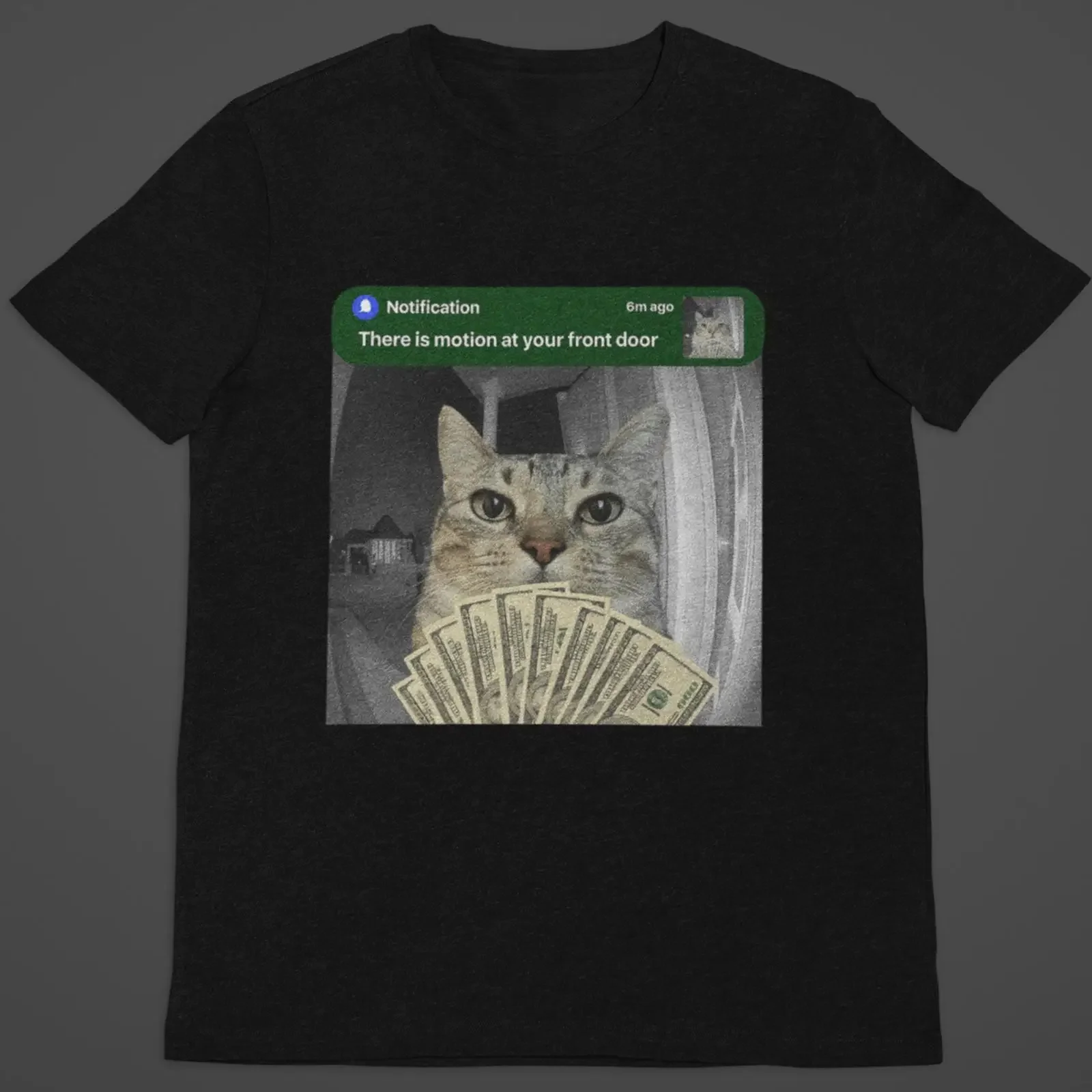 Motion At Your Front Door Cat With Money Meme T Shirt Funny Ironic Doorbell Camera Gen Z Humor Casual vintage Washed