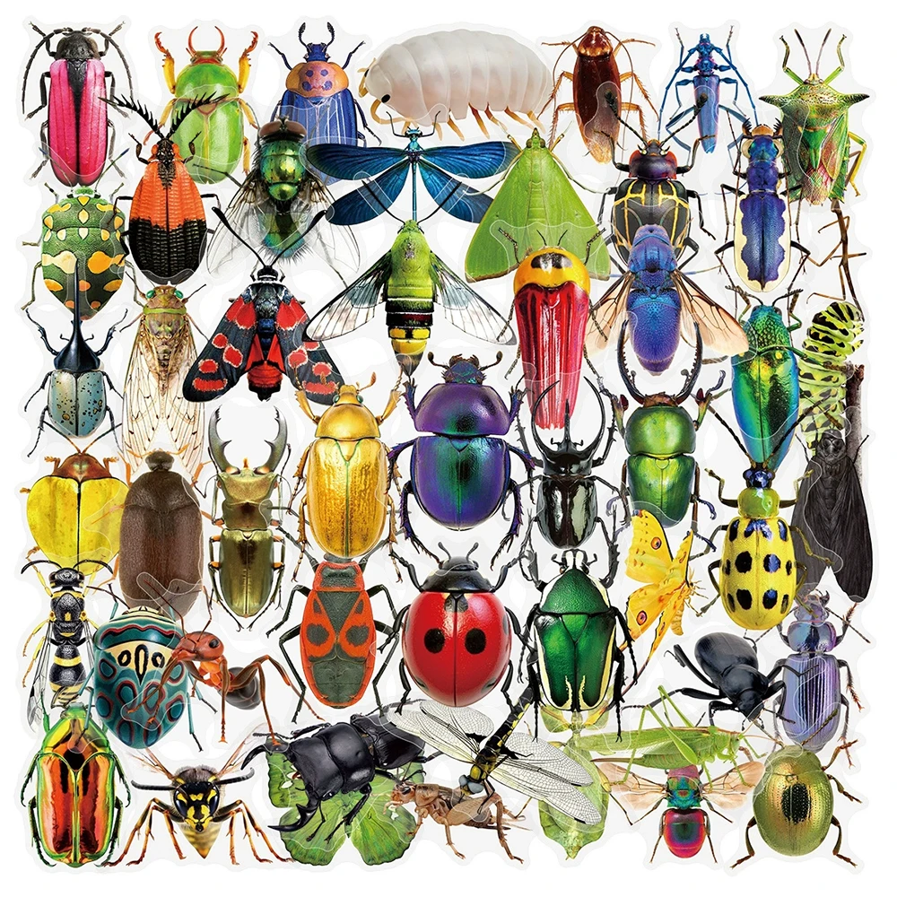 10/30/50 Stuks Cool Transparant Insect Kever Sticker Pack Realistische Dier Graffiti Decals Waterdichte Sticker Diy Notebook bagage