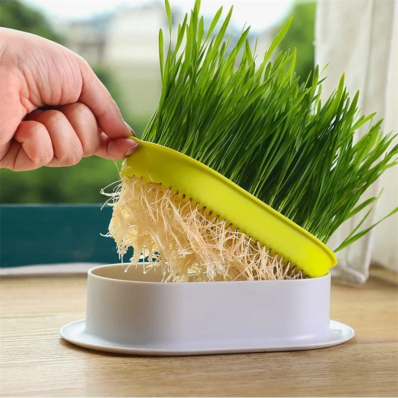 New Cat Grass Potted Lazy Soilless Hydroponic Planting Box Cat Grass Pot Wheat Particle Cultivation Tray Cup Set