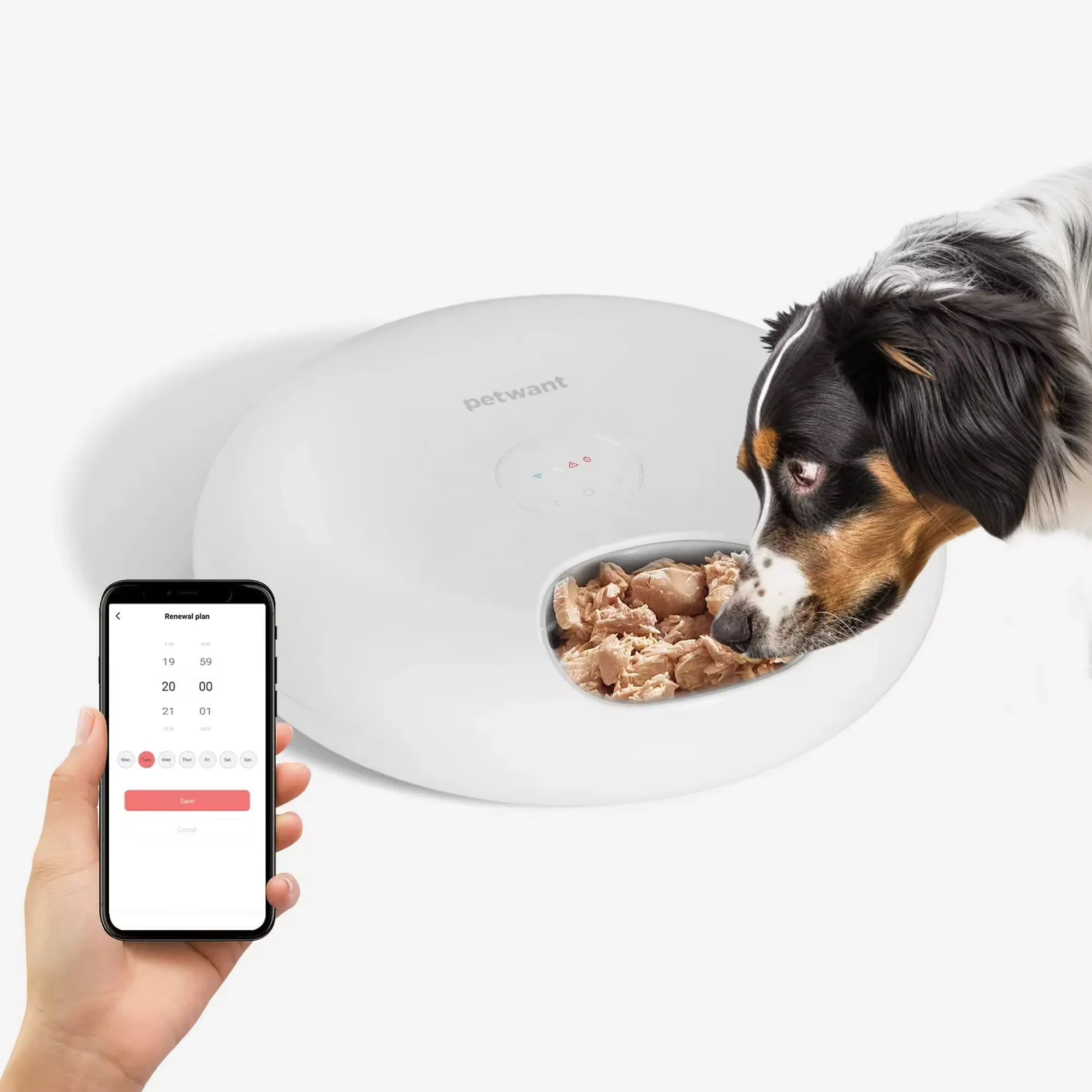 

Automatic 6 Meals Timed LED Screen 2 Ice Packs Eco-Friendly Dry Wet Food Dispenser Pet Bowls Feeder