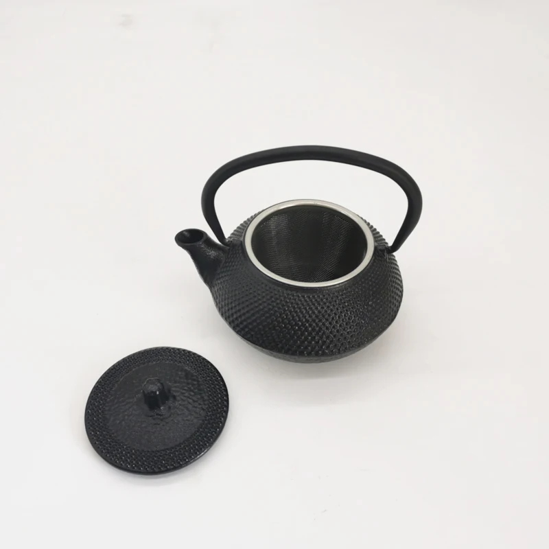 300ml Cast Iron Teapot Water Kettle with Stainless Steel Filter Japanese Tetsubin