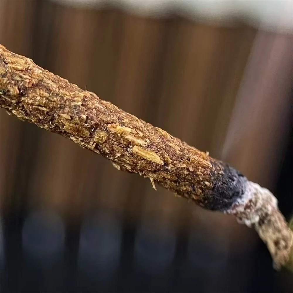 Picture 6: Natural Tiger-Patterned Kyara Agarwood Handmade Incense Sticks,Additive-Free Kyara Handmade Incense,Aromatherapy Fragrance,Oud