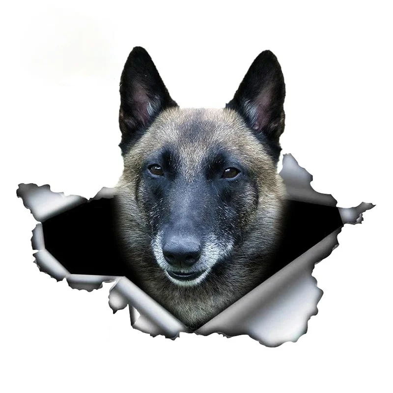 Creative Animal Belgian Malinois Car Sticker Torn Metal Decal Stickers Waterproof Shepherd Pet Dog 3D Vinyl Decals