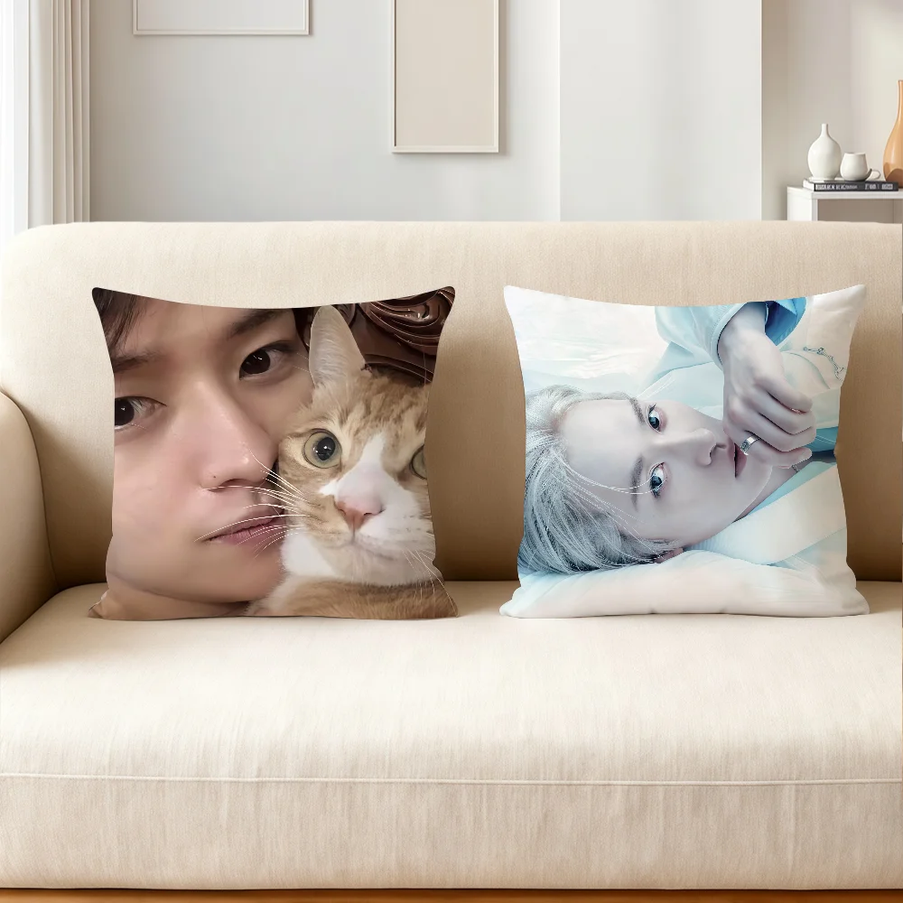 Singer cushion cover Anti-dustmite Sofa Cushion Decorative Office Cover Lounge Area L-Lee K-Know Indoor & Outdoor Use