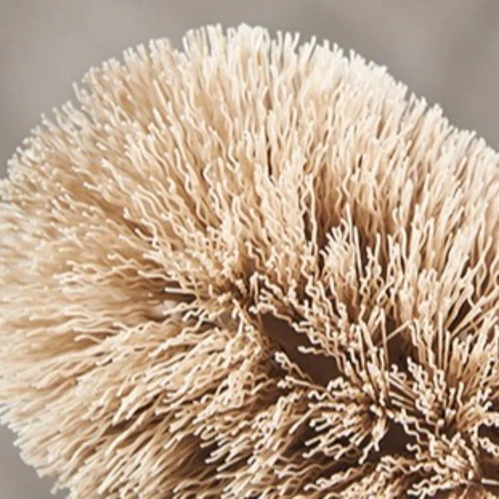 

Щетка для унитаза с длинной ручкой, пластиковая съемная головка щетки, щетка для туалета, без мертвых углов, скребок для унитаза, туалетная комната