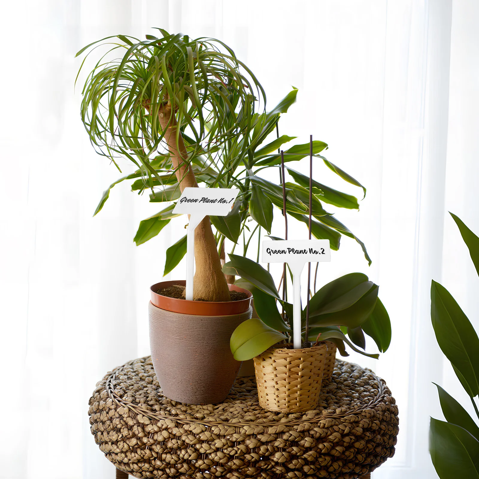 

35pcs Decorative Plant Labels Resistant Plastic Outdoor Garden Markers Inclined Surface For Greenhouse Potted Gardens Plant Name