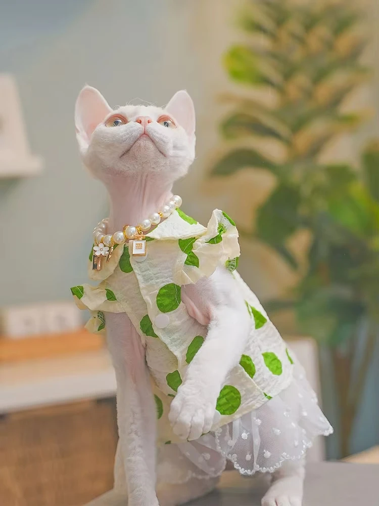sphynx-gato-algodao-vestido-verde-roupas-de-verao-para-devon-rex-estilo-country-doce-renda-saia-floral-para-caes-gatinhos-coisas-para-animais-de-estimacao