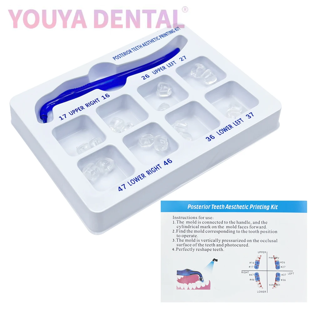 Dental Posterior Teeth Aesthetic Printing Mold Repair Reshaping Resin Fissure Printing Seal Posterior Teeth Molding Impression