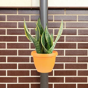 أفضل 10 زارع مقبرة مبيعا - رقم 7