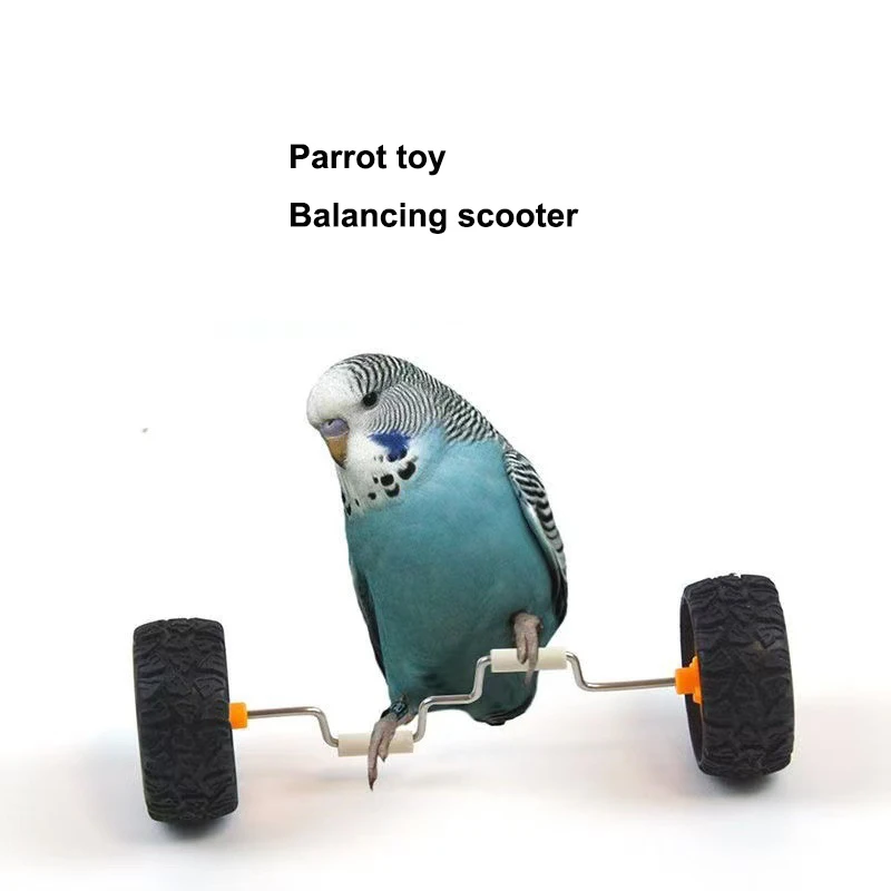 Parrot toy, amusement balancing vehicle, small-sized bird supplies, sliding wheel skateboard, skill training equipment