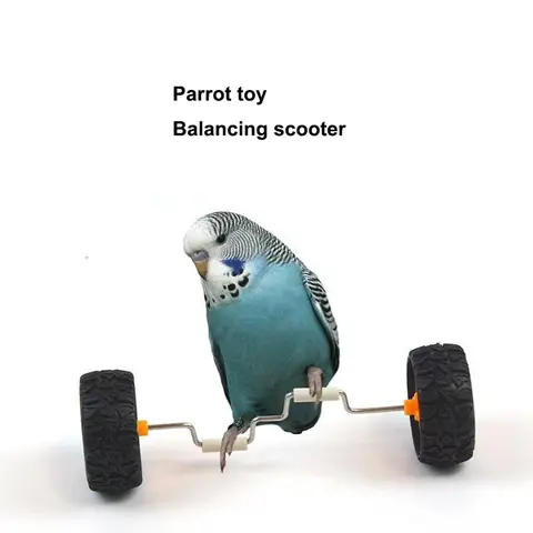 Parrot toy, amusement balancing vehicle, small-sized bird supplies, sliding wheel skateboard, skill training equipment