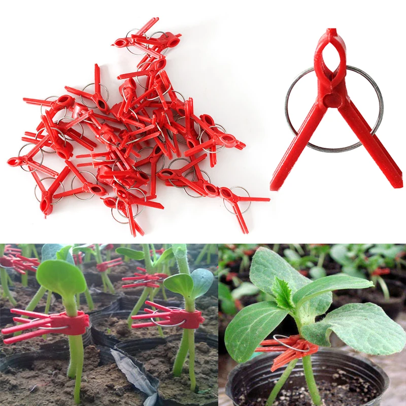 25/50/100PCS Plant Grafting Clip Plastic Garden Tools Cucumber Eggplant Watermelon, Round Mouth Flat Mouth Fall Arrest Clip