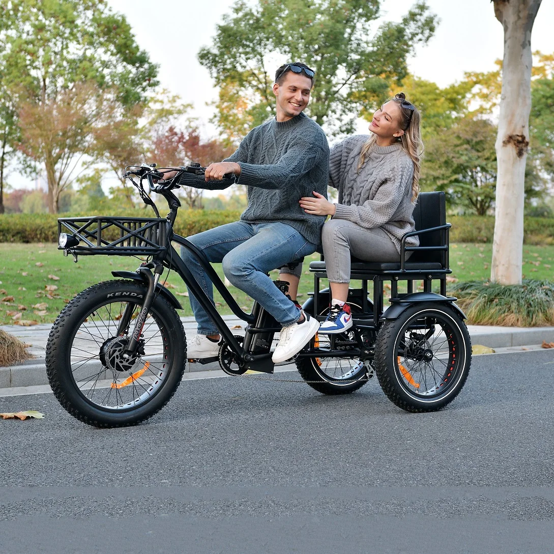 3 Wheel  Electric Tricycles China Made fat tire Motor Electric Tricycle Two-Seater Bike T14