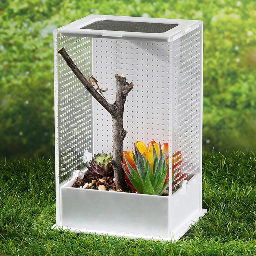 

Acrylic Reptile Terrarium Box for Small Pets Spider Lizard Feeding Container Transparent Breeding Tank with Breathable Design