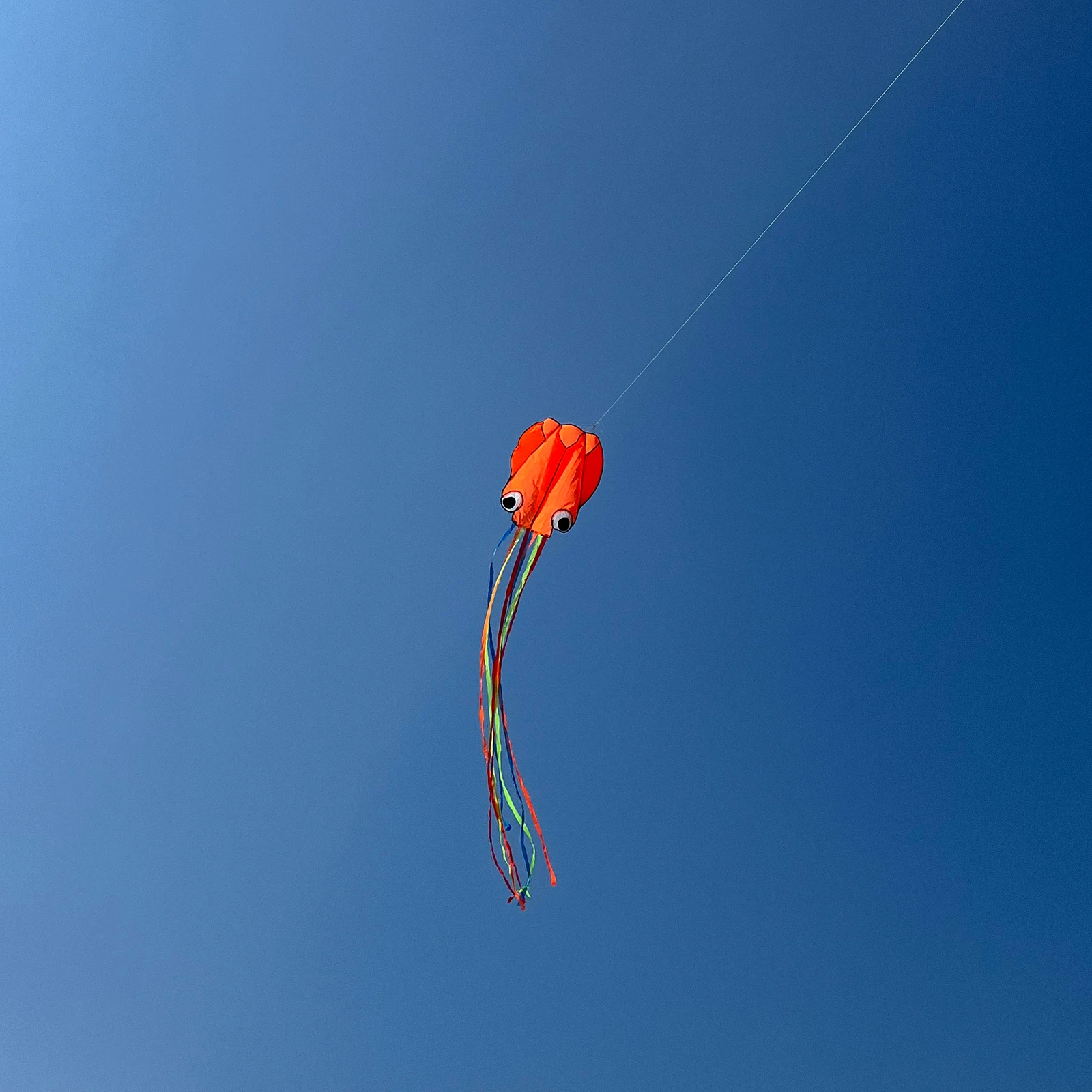 9KM 4m Giant Octopus Kite Line Wäschedrachen Weiches aufblasbares 40D Ripstop Nylon für Kite Festival mit Tasche (Akzeptieren Sie den Großhandel)