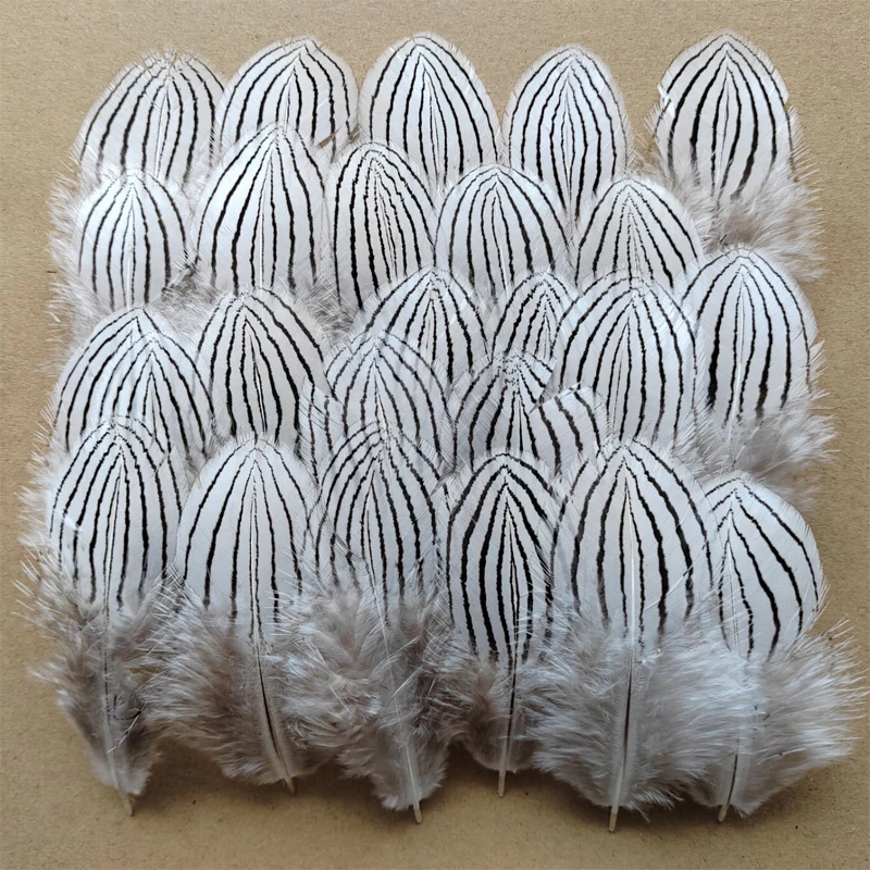 Plumes de faisan en argent naturel 7-11cm, 100 pièces, Plumas de décoration de fête, petites Plumes pour l'artisanat, bricolage, fabrication de bijoux