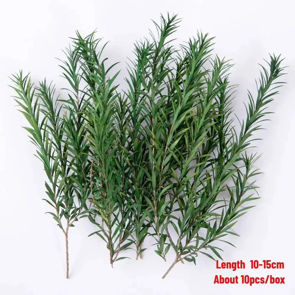 Simulation Long Leaf Vegetation Reed Grass Shrubs for Ho Waterscape Renovation/DIY Model Making/Military Scenery/Diorama 1Box