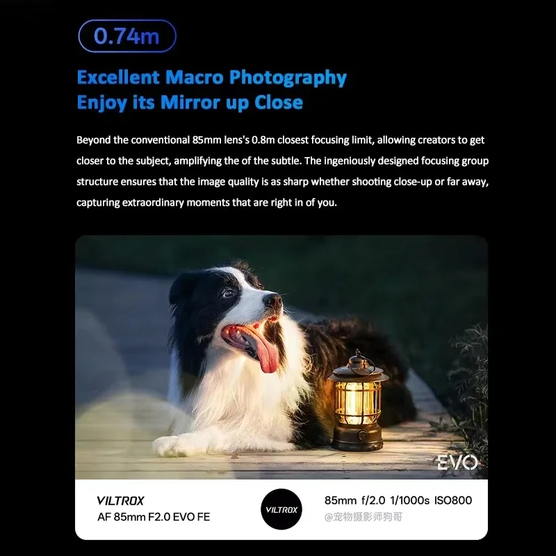 Thumbnail 4 - #34 Best Camera Lenses to Buy In 2026