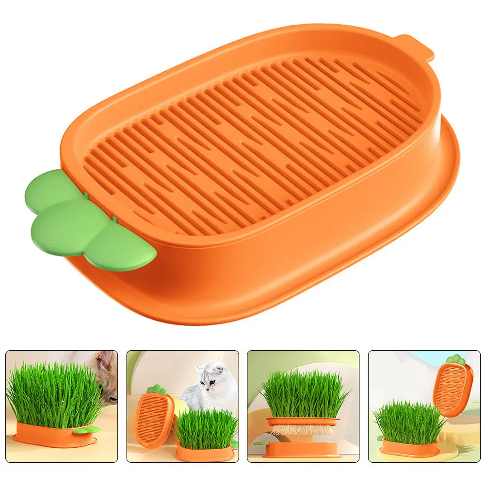 

Creative Grass Box Practical Catnip Planting Box Hydroponic Soilless Cat Grass Planter Double Layer Design Easy Watering