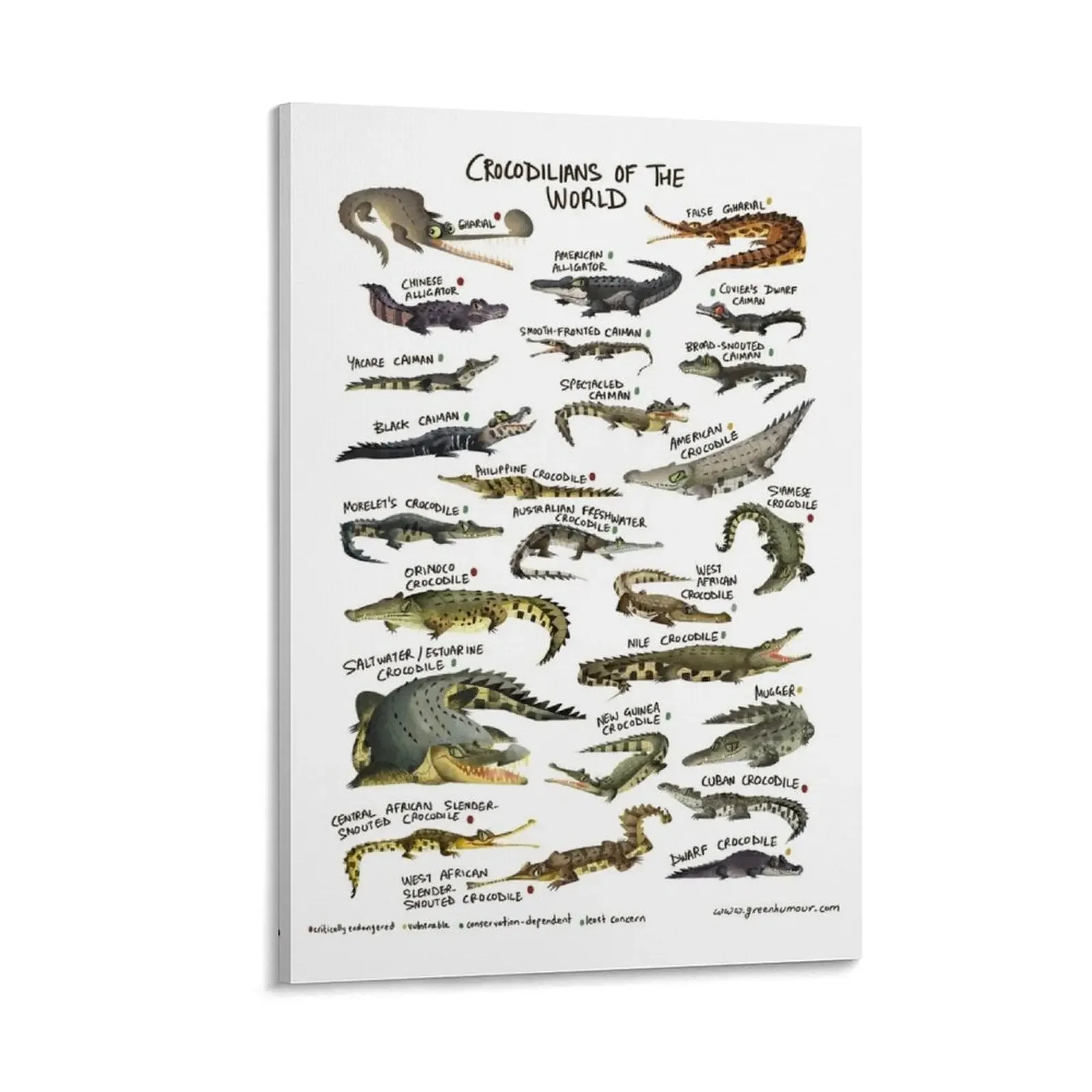 

Crocodilians of the World Canvas Painting Decoration home decor