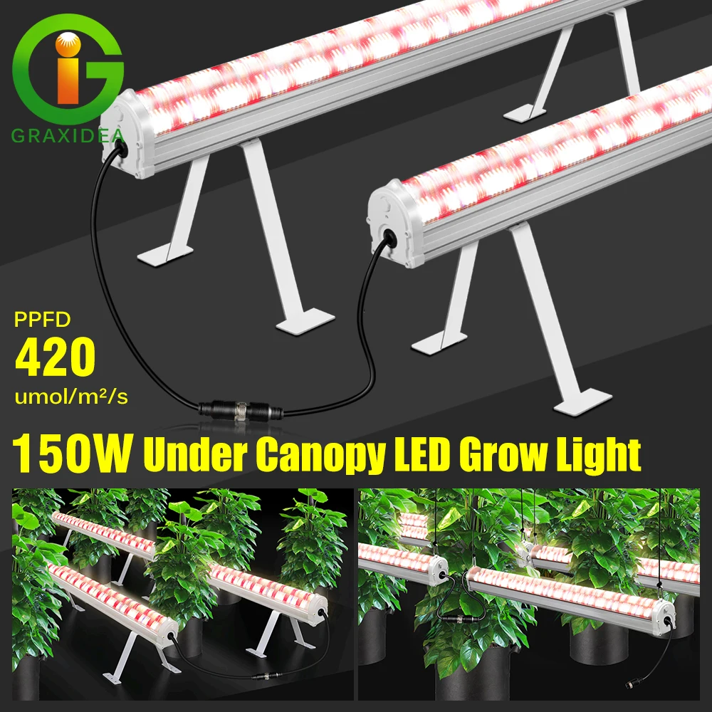 🌴 Lampada LED per coltivazione a spettro completo da 150W, ad alta luminosità, a doppia fila di LED, illuminazione ad angolo ampio, con IC indipendente, per installazione sotto tettoia.